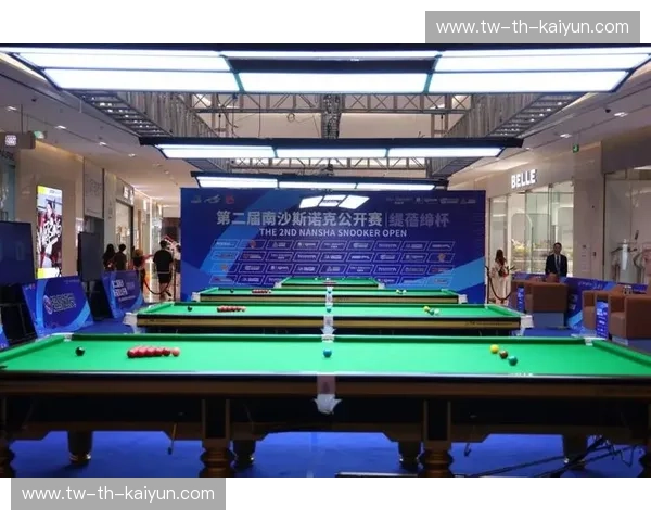 观看斯诺克录像，提升技巧与观赛体验